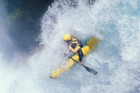 开云下载-广厦铁壁锁灰熊，福克斯欧冠夜化身孤胆死神
