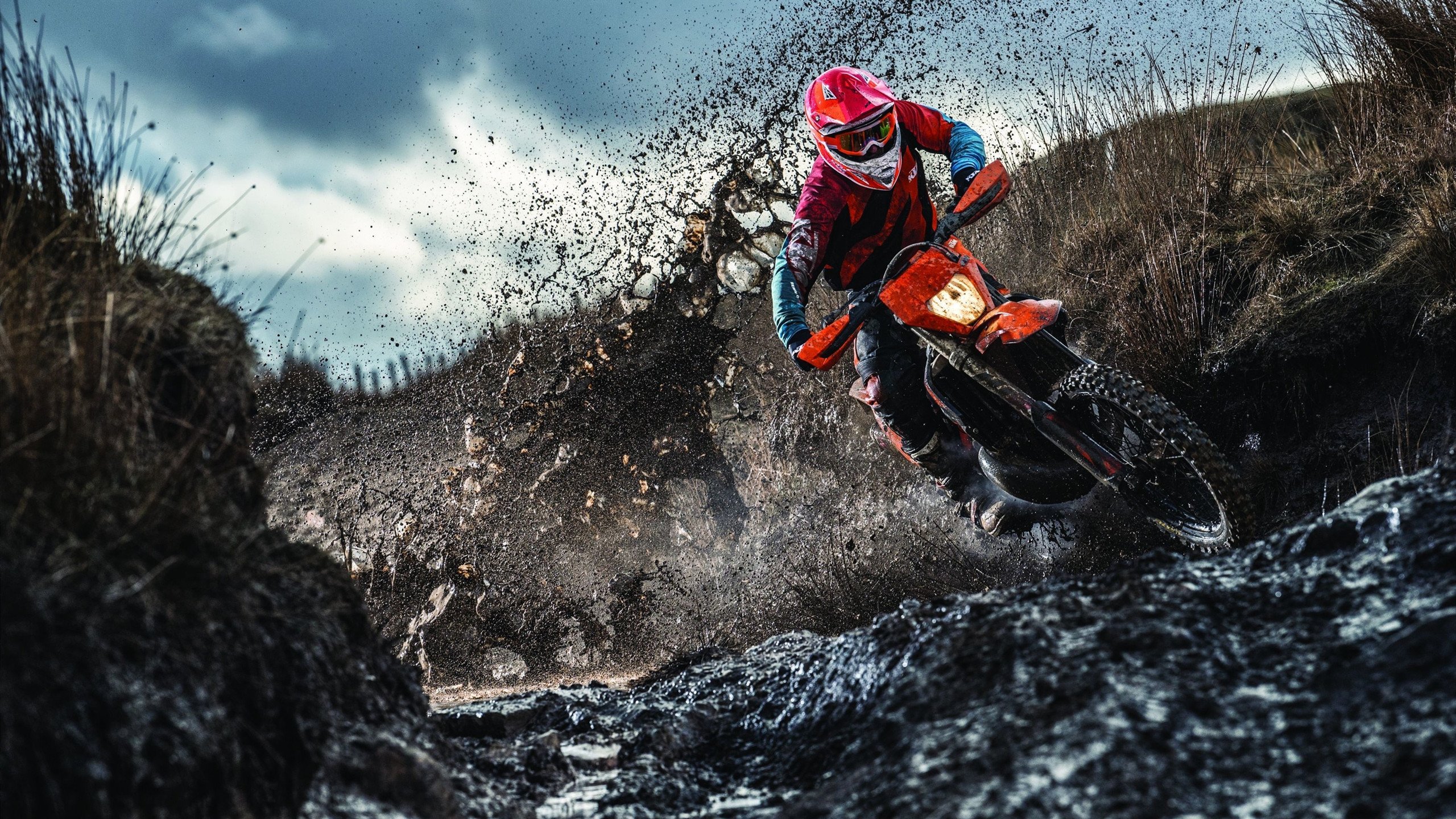 沉默的刀锋,伦纳德如何用最安静的方式切开世界杯之夜